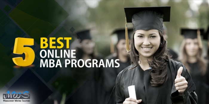 MBA Online Study Programs
