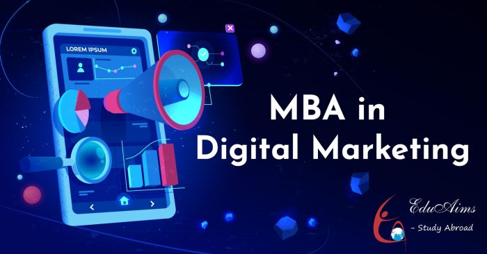 MBA In Digital Transformation