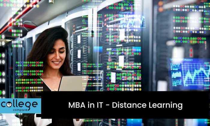 Best MBA institute for distance learning - IbmsInstitute/OnlineEMBA ...